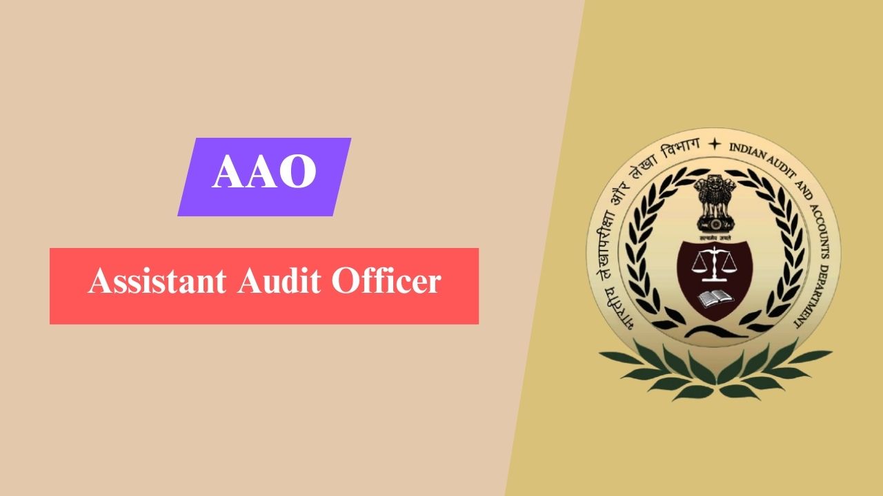 Assistant Audit Officer (AAO)