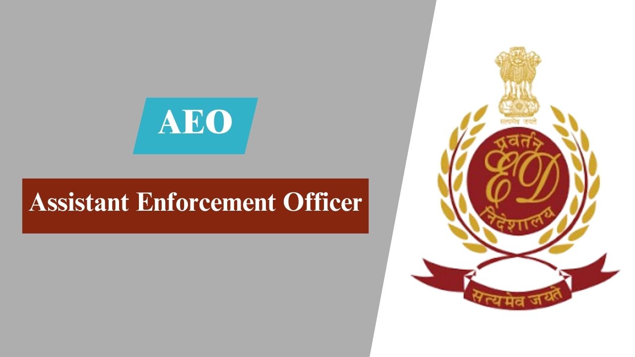 Assistant Enforcement Officer (AEO)