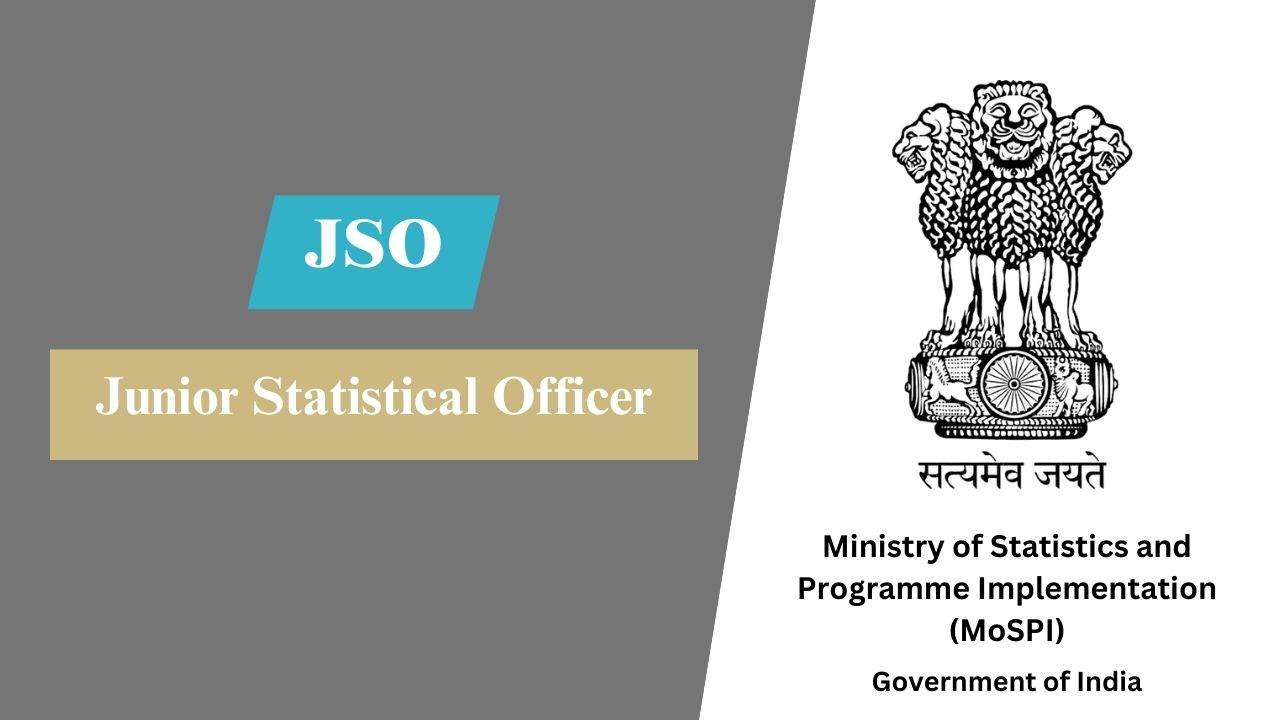 Junior Statistical Officer