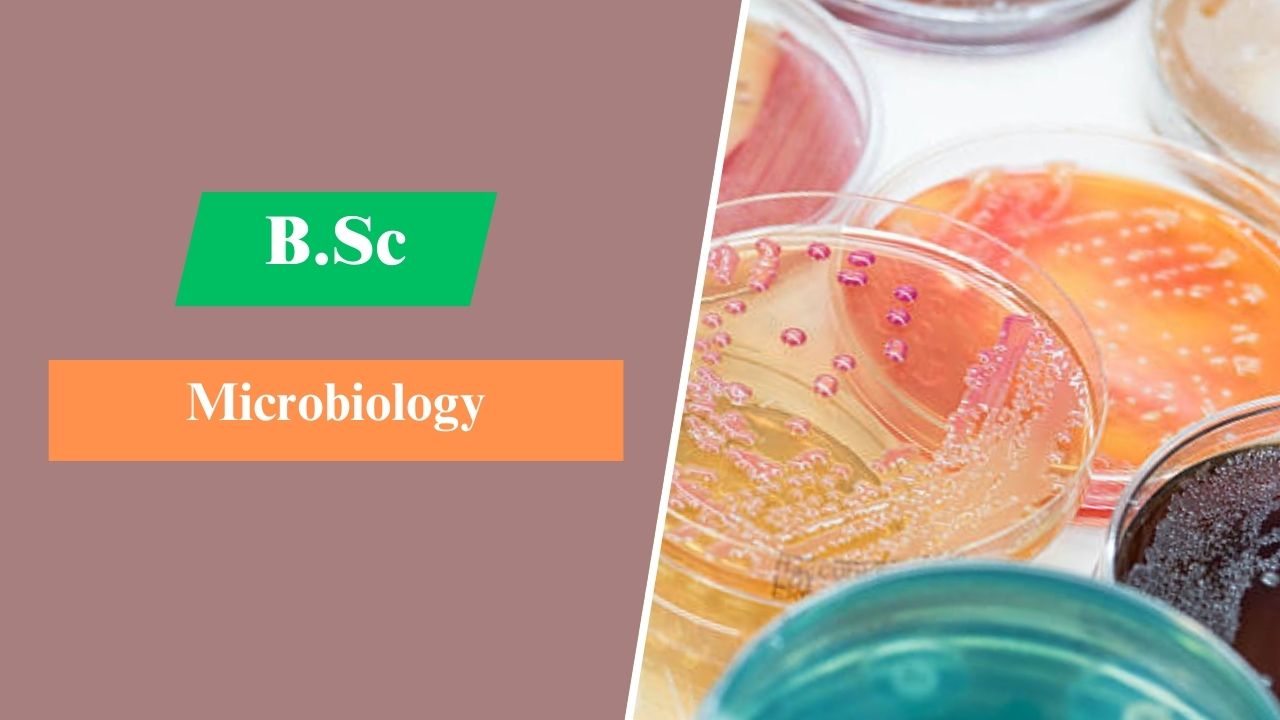 B.Sc in Microbiology